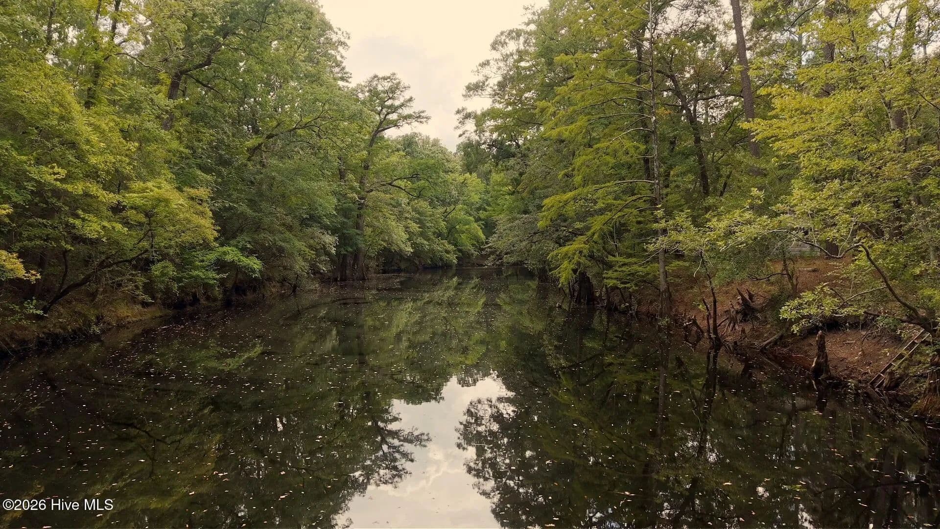 Lots & Land-Other in Burgaw - Burgaw, North Carolina, 28425