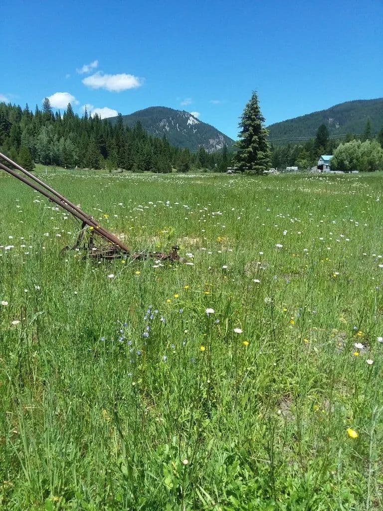 Lots & Land-Other in De Borgia - De Borgia, Montana, 59830