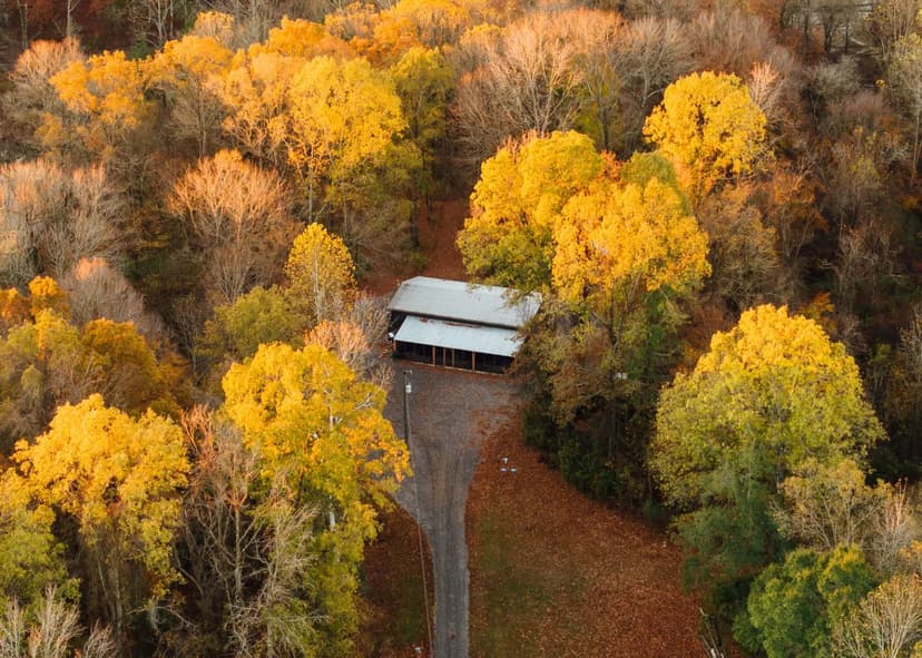 145.1 Acres with a Camp in Yazoo County, MS