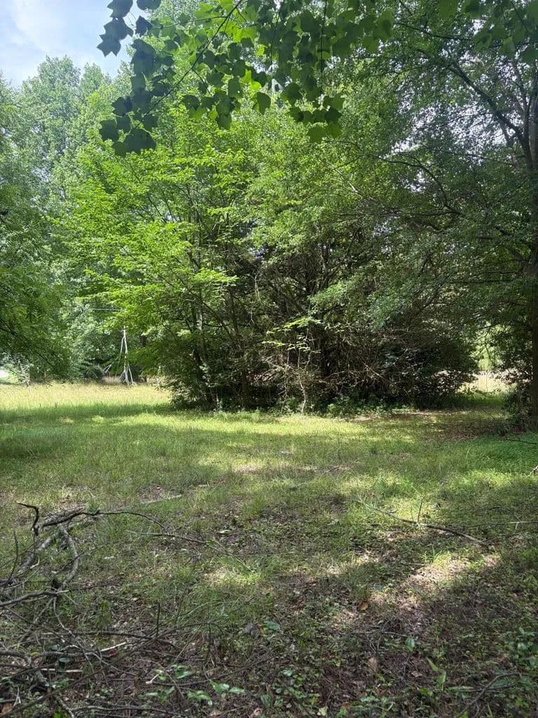 17.24 Acres of Land for Sale in Jefferson, GA - Jefferson, Georgia, 30549