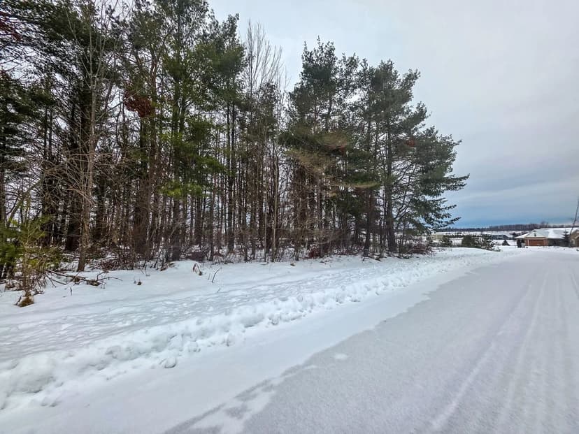Vacant Land in Cheboygan