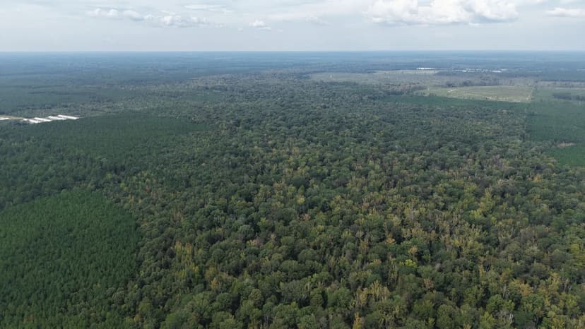 240 Acres in Cleveland County, AR