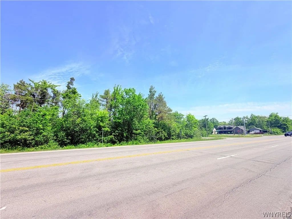 23.9 Acres of Land for Sale in Lake View, New York - Lake View, New York, 14085