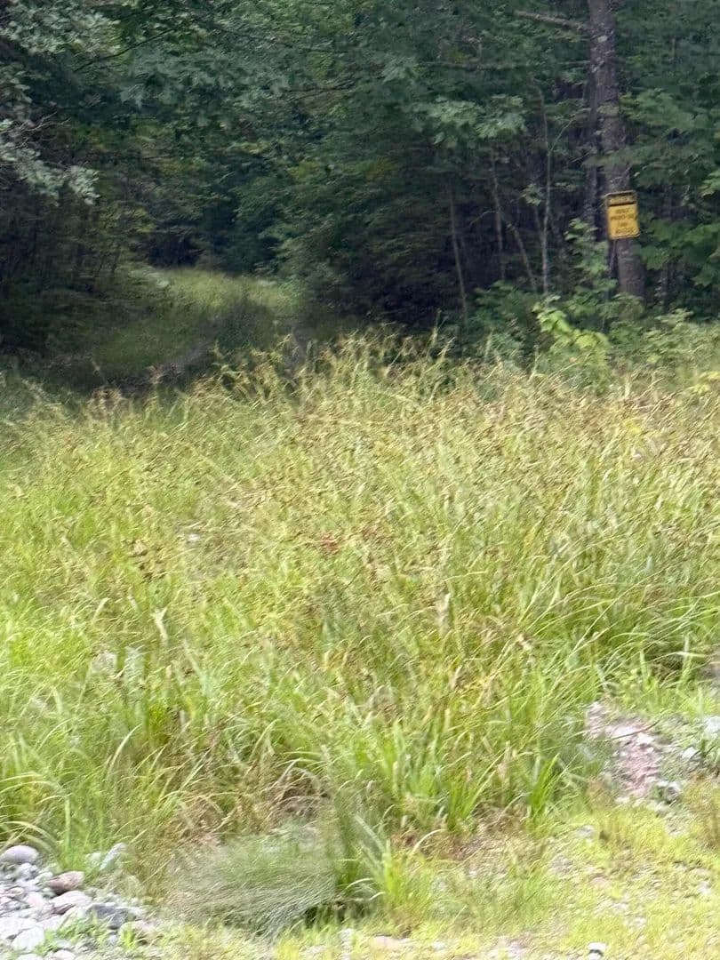 Vacant Land in Moscow