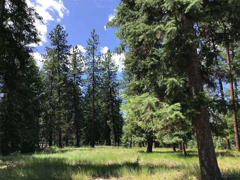 Lots & Land-Other in St Regis