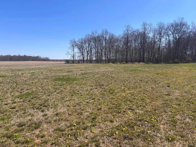 Vacant Land in Lancaster