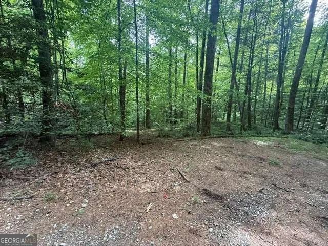 Vacant Land in Clayton - Clayton, Georgia, 30525