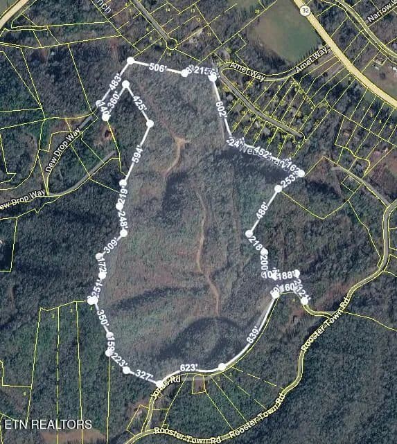 83.53 Acres of Land for Sale in Cosby, TN - Cosby, Tennessee, 37722