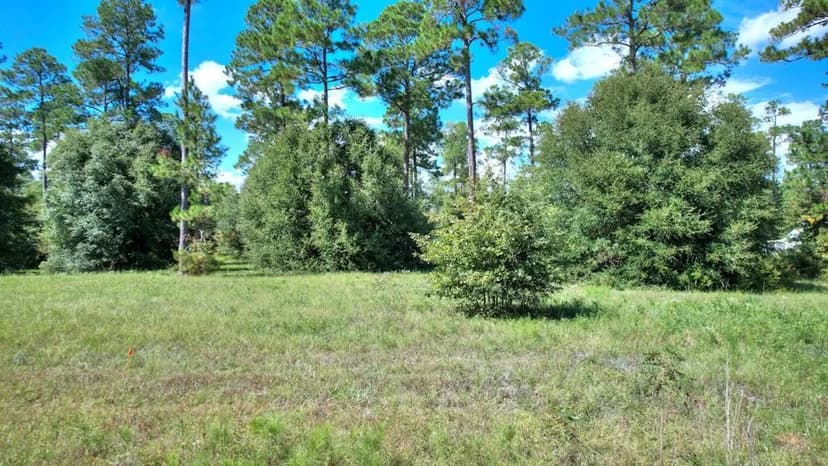 Lots & Land-Other in Cordele