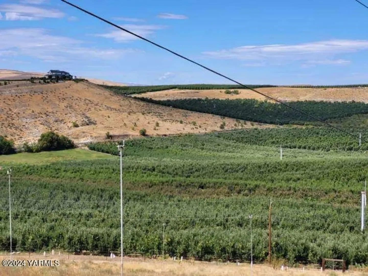 67 Acres of Land for Sale in Zillah, WA - Zillah, Washington, 98953
