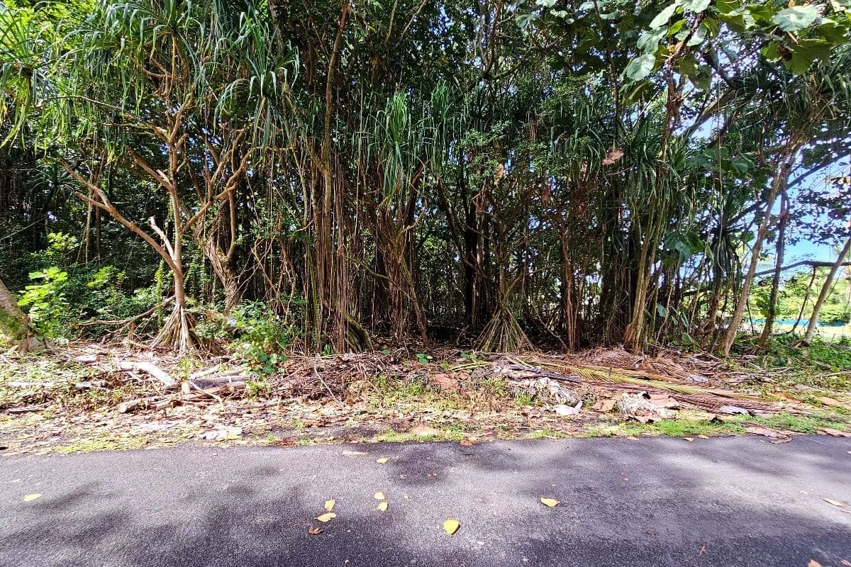Vacant Land in Pahoa - Pahoa, Hawaii, 96778