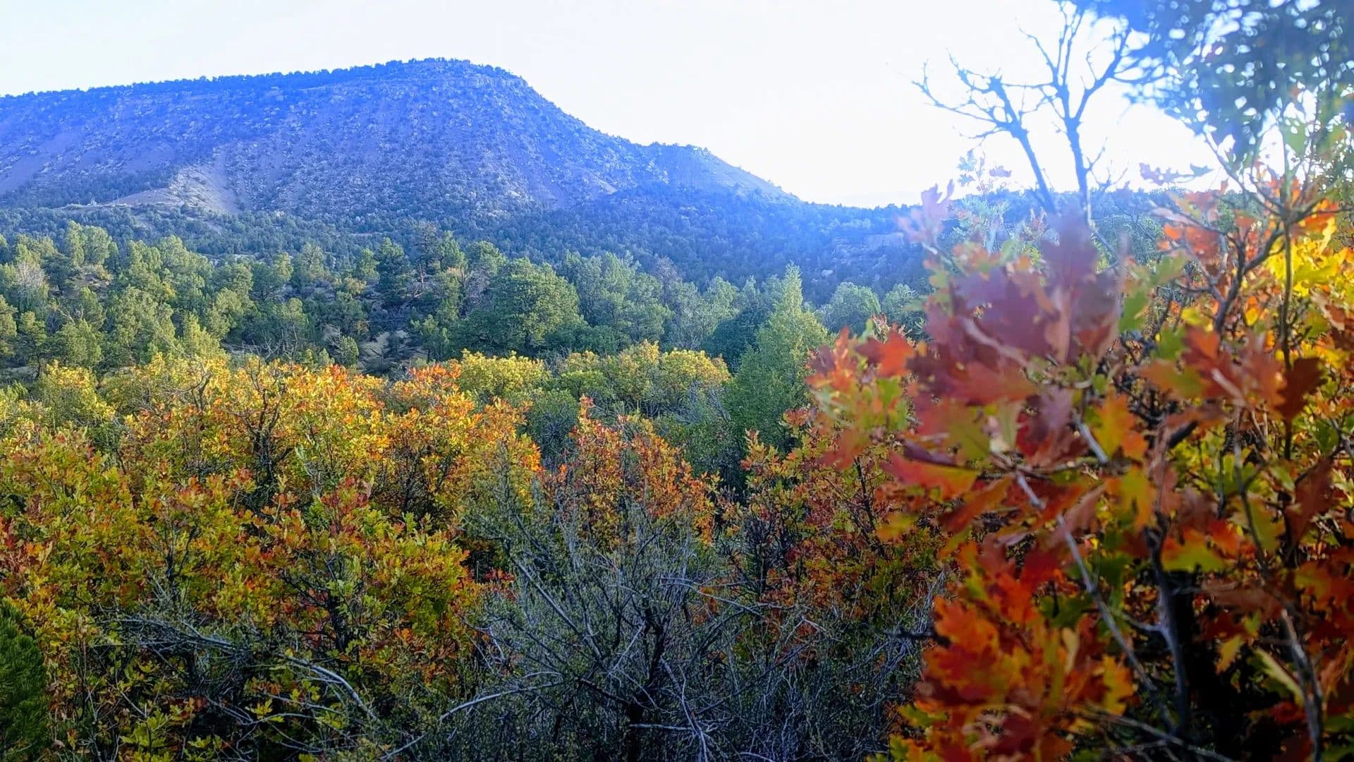 Picnic Flats Hunting Ranch - Durango, Colorado, 81303