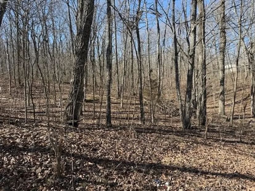 0.85+/-acre wooded tract in Graysville TN