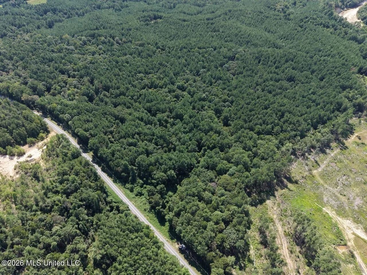 32± Acre Wooded Tract in McCall Creek, MS - Meadville, Mississippi, 39653