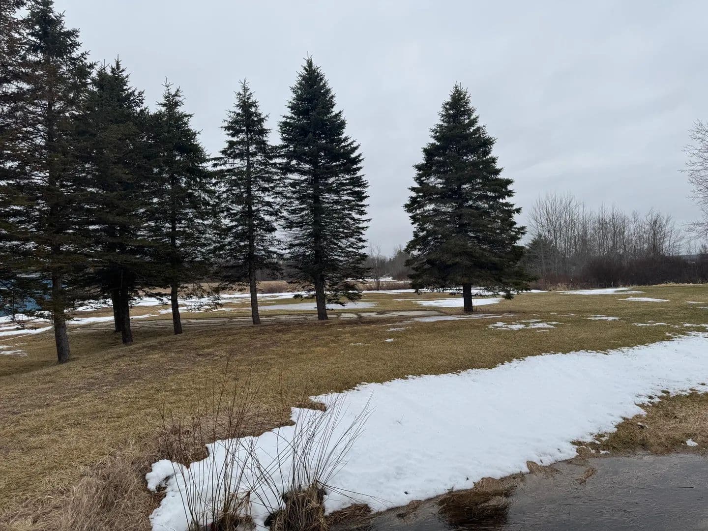 Lots & Land-Other in Merritt - Merritt, Michigan, 49667