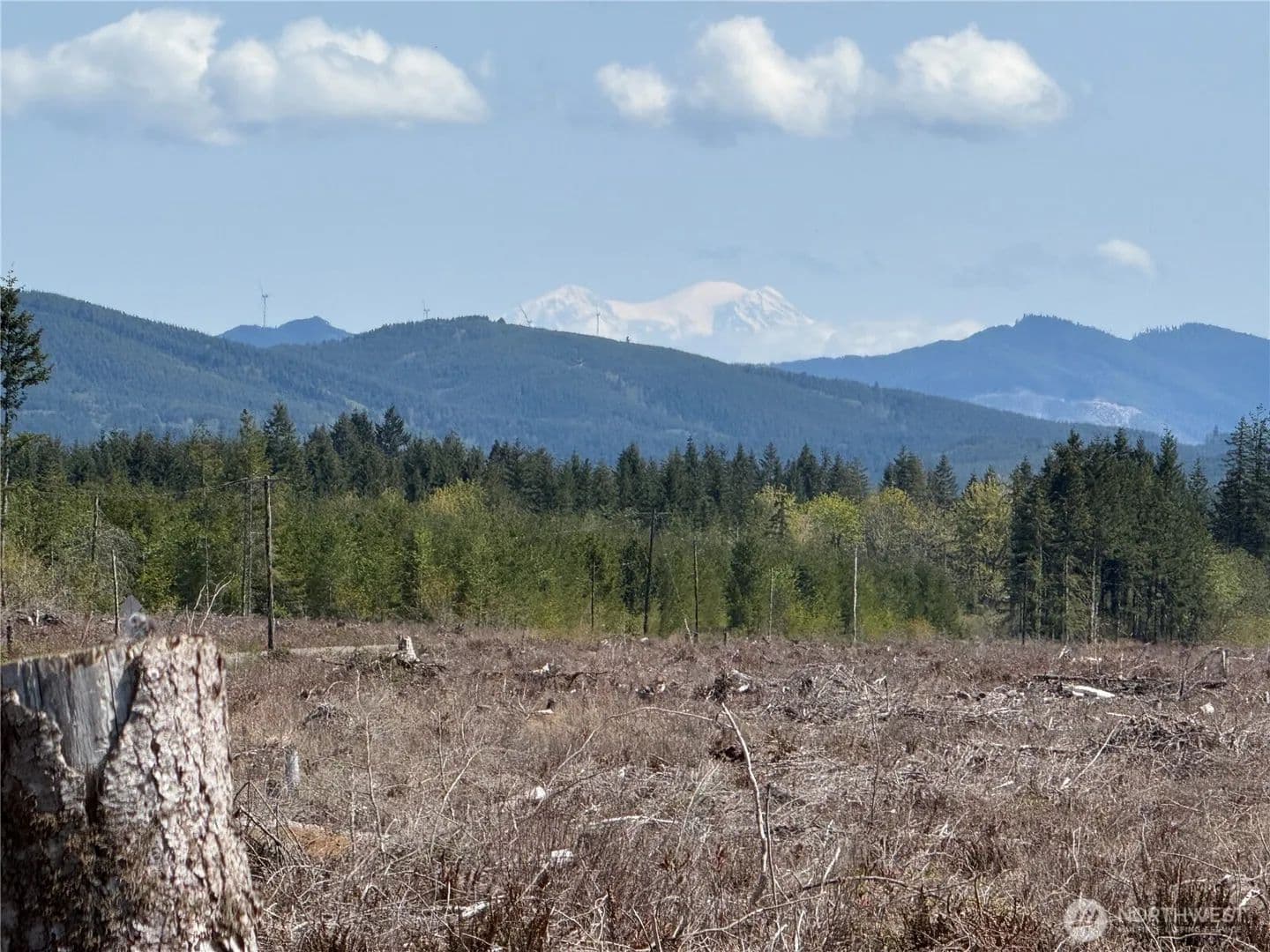Vacant Land in Onalaska - Onalaska, Washington, 98570