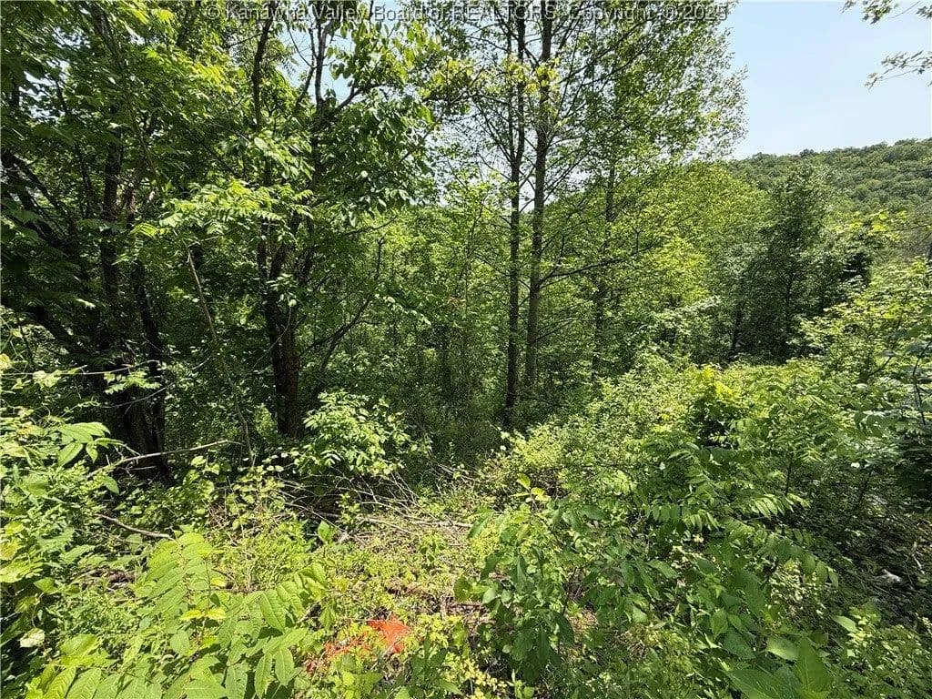 Lots & Land-Other in Charleston - Charleston, West Virginia, 25311