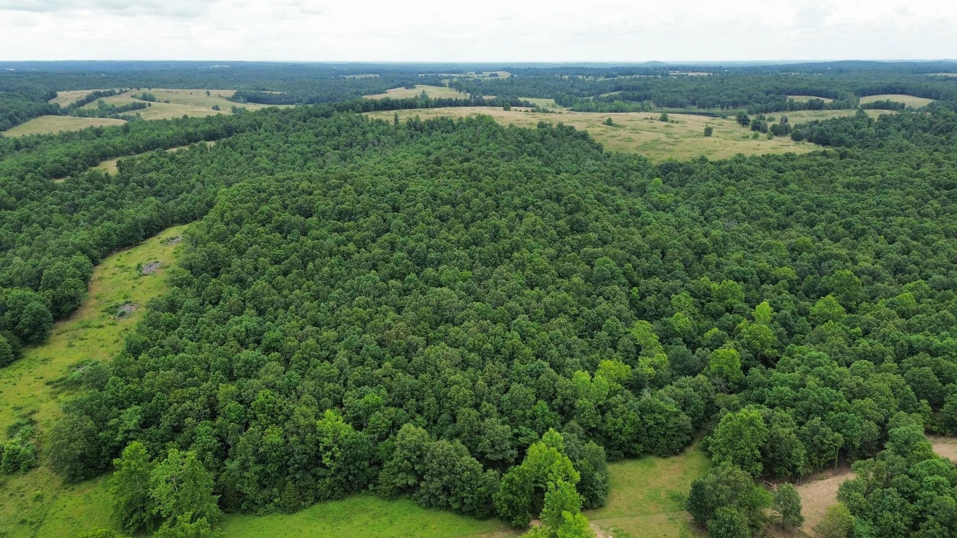 Lots & Land-Other in Salem - Salem, Arkansas, 72576