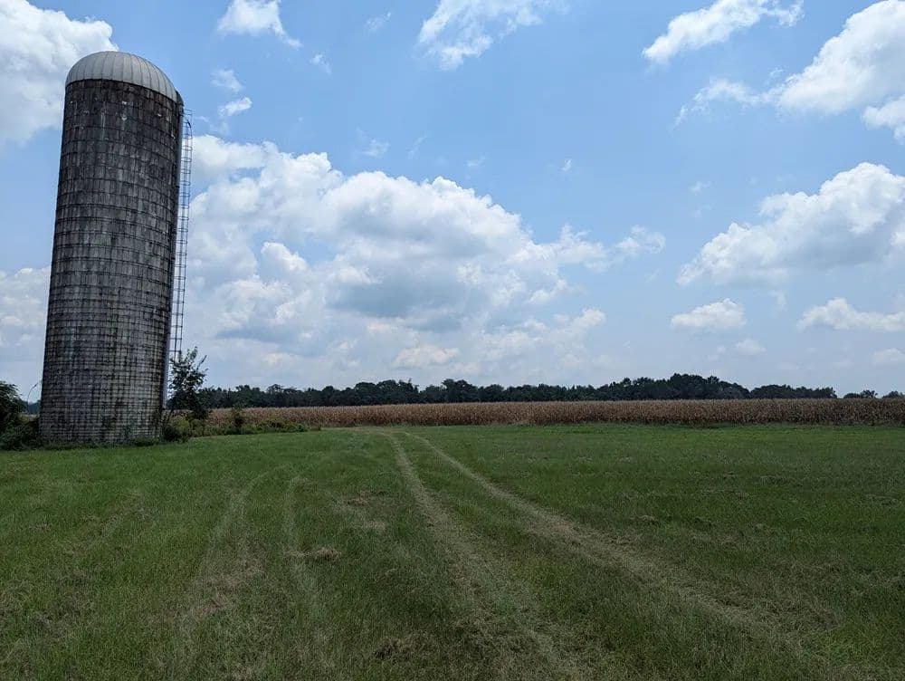 Picturesque Farmland - Colquitt, Georgia, 39837