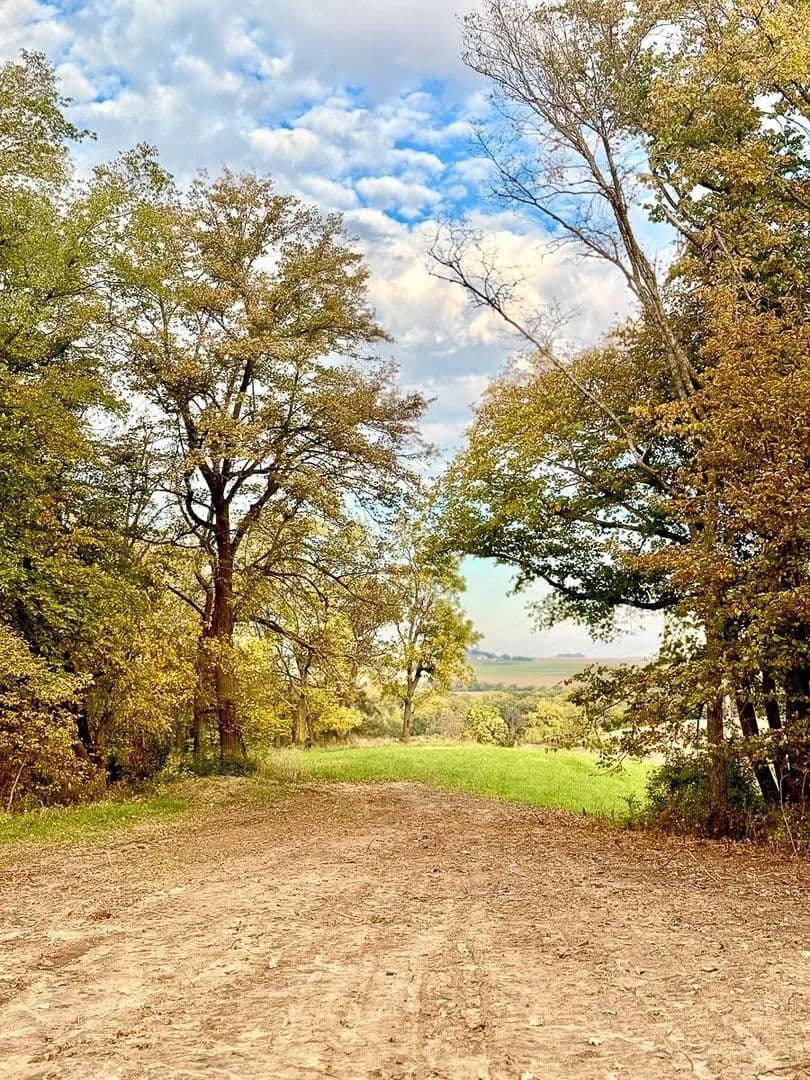 Lots & Land-Other in MALVERN - Malvern, Iowa, 51551