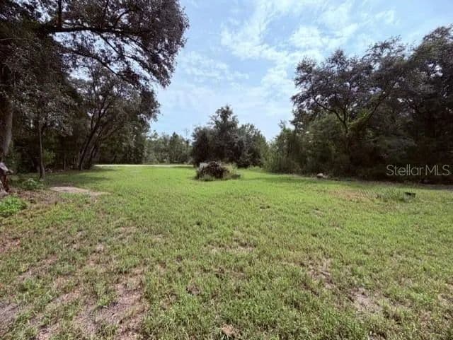 Lots & Land-Other in WEBSTER - Webster, Florida, 33597