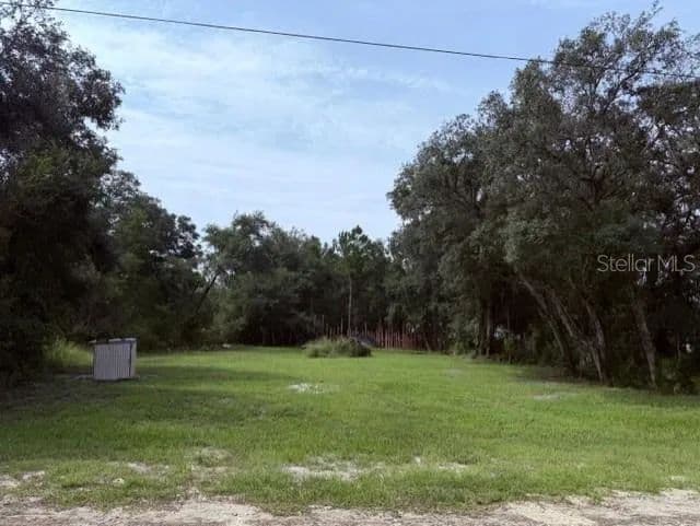Lots & Land-Other in WEBSTER - Webster, Florida, 33597