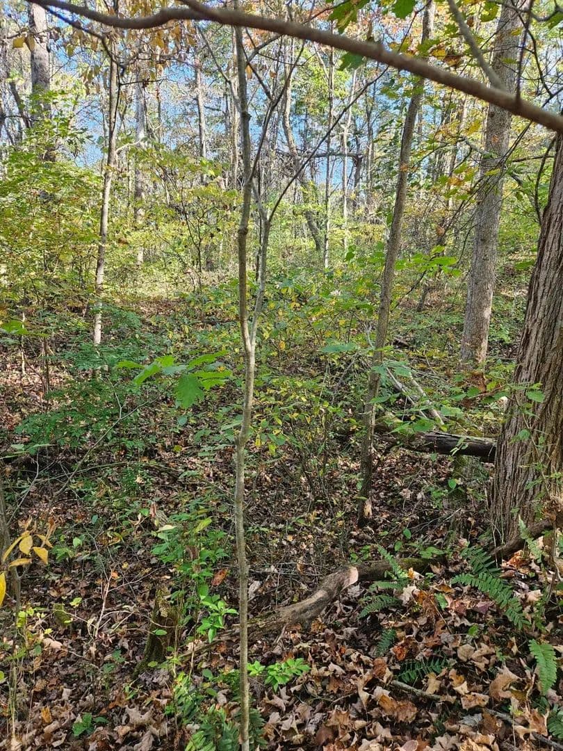 Vacant Land in Lower Salem