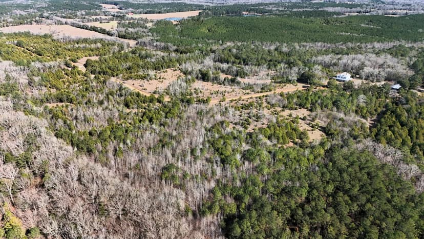 42 Acres in Lowndes County, AL 