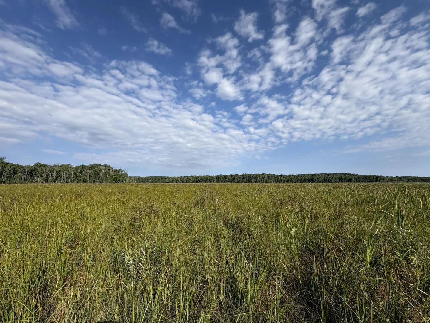 Vacant Land in Brainerd - Brainerd, Minnesota, 56401