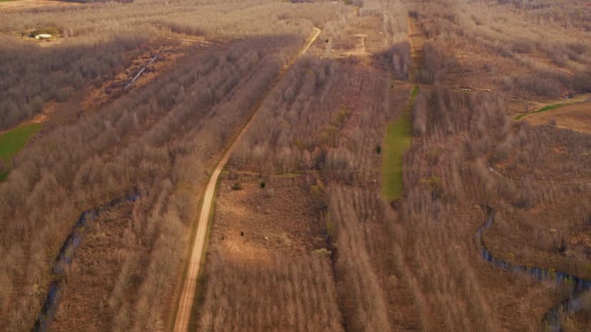 Tensas Parish Duck and Deer Hunting Property