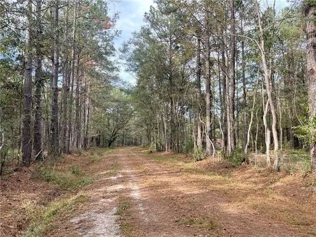 Lots & Land-Other in Pearl River - Pearl River, Louisiana, 70452