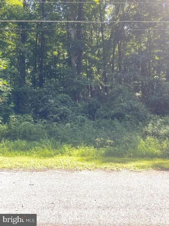Vacant Land in Chestertown - Chestertown, Maryland, 21620