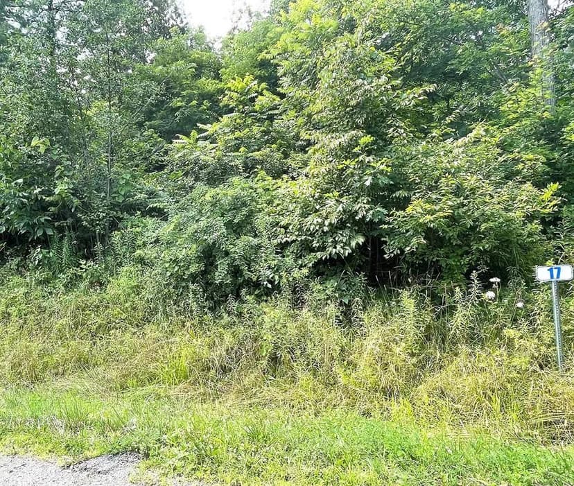 Lots & Land-Other in Towanda