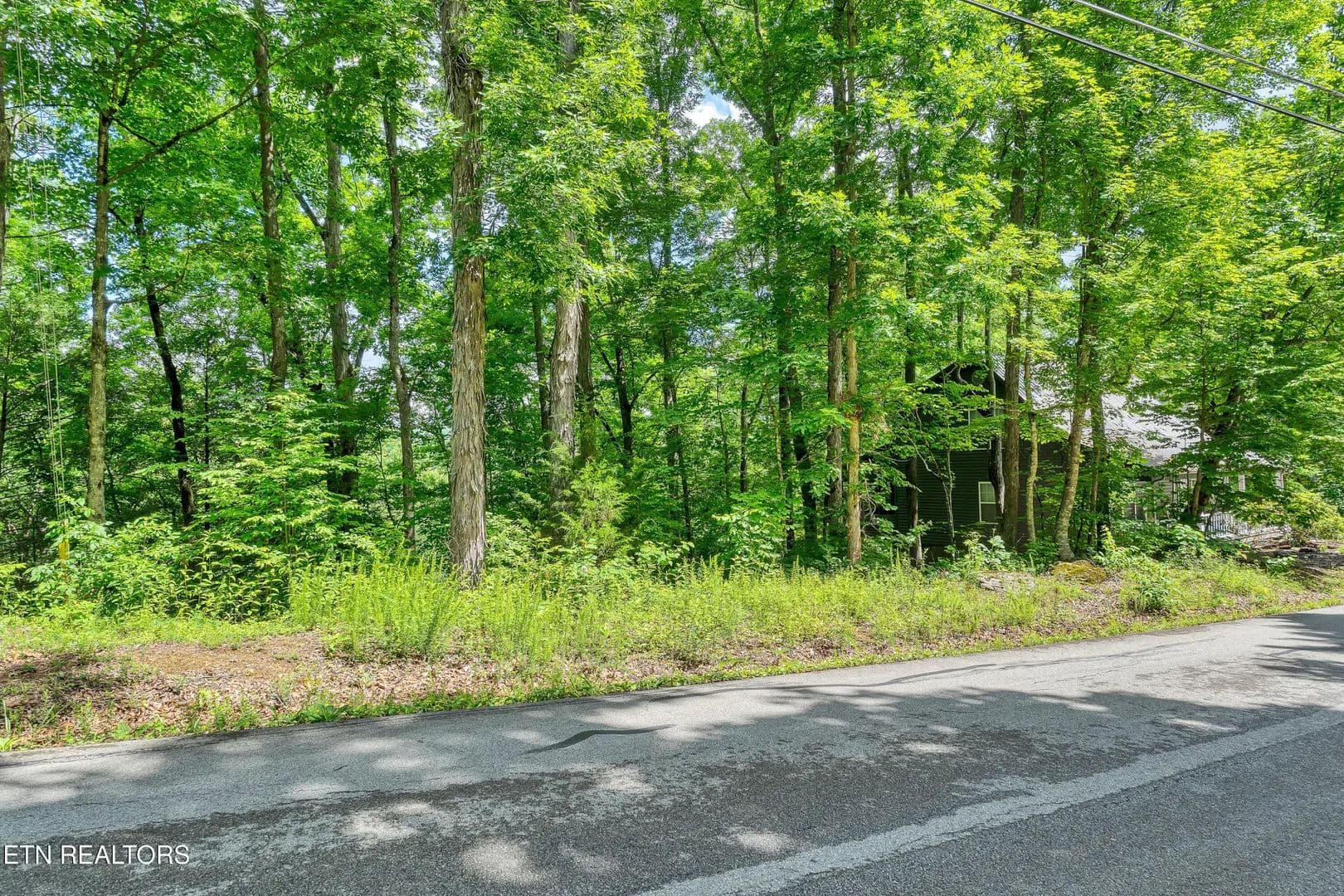 Vacant Land in Townsend - Townsend, Tennessee, 37882