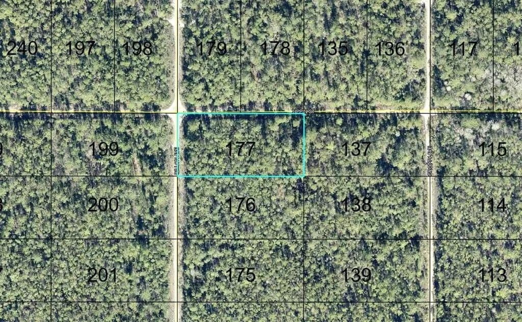 Vacant Land in Hastings - Hastings, Florida, 32145