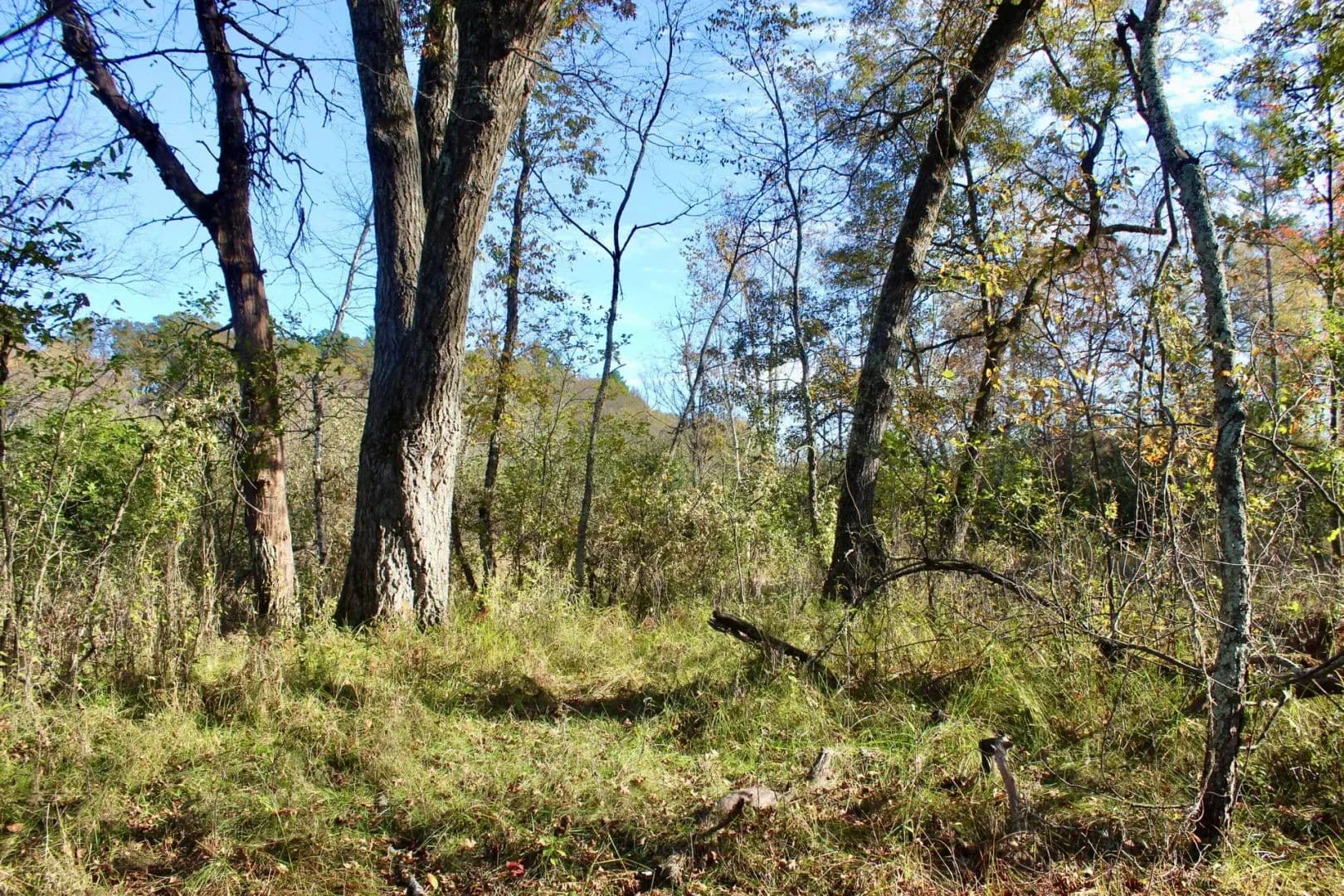 9.08 Acres of Land for Sale in Eau Claire, WI - Eau Claire, Wisconsin, 54701