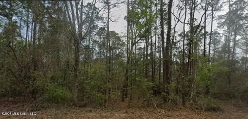 Vacant Land in Diamondhead - Diamondhead, Mississippi, 39525