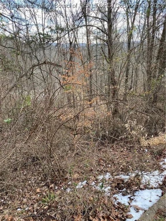Lots & Land-Other in Cross Lanes - Cross Lanes, West Virginia, 25313