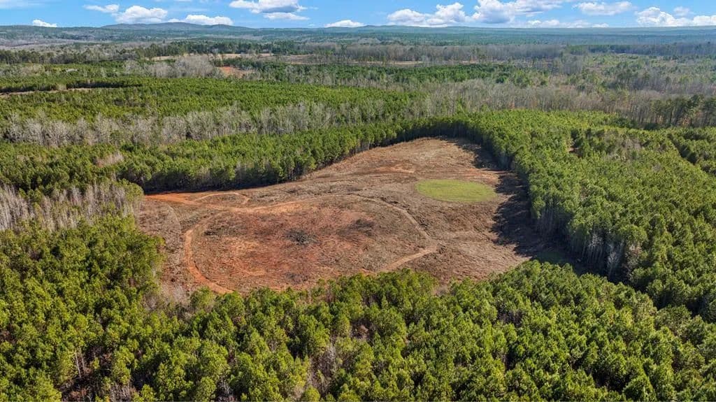 Vacant Land in Hamilton - Hamilton, Georgia, 31811