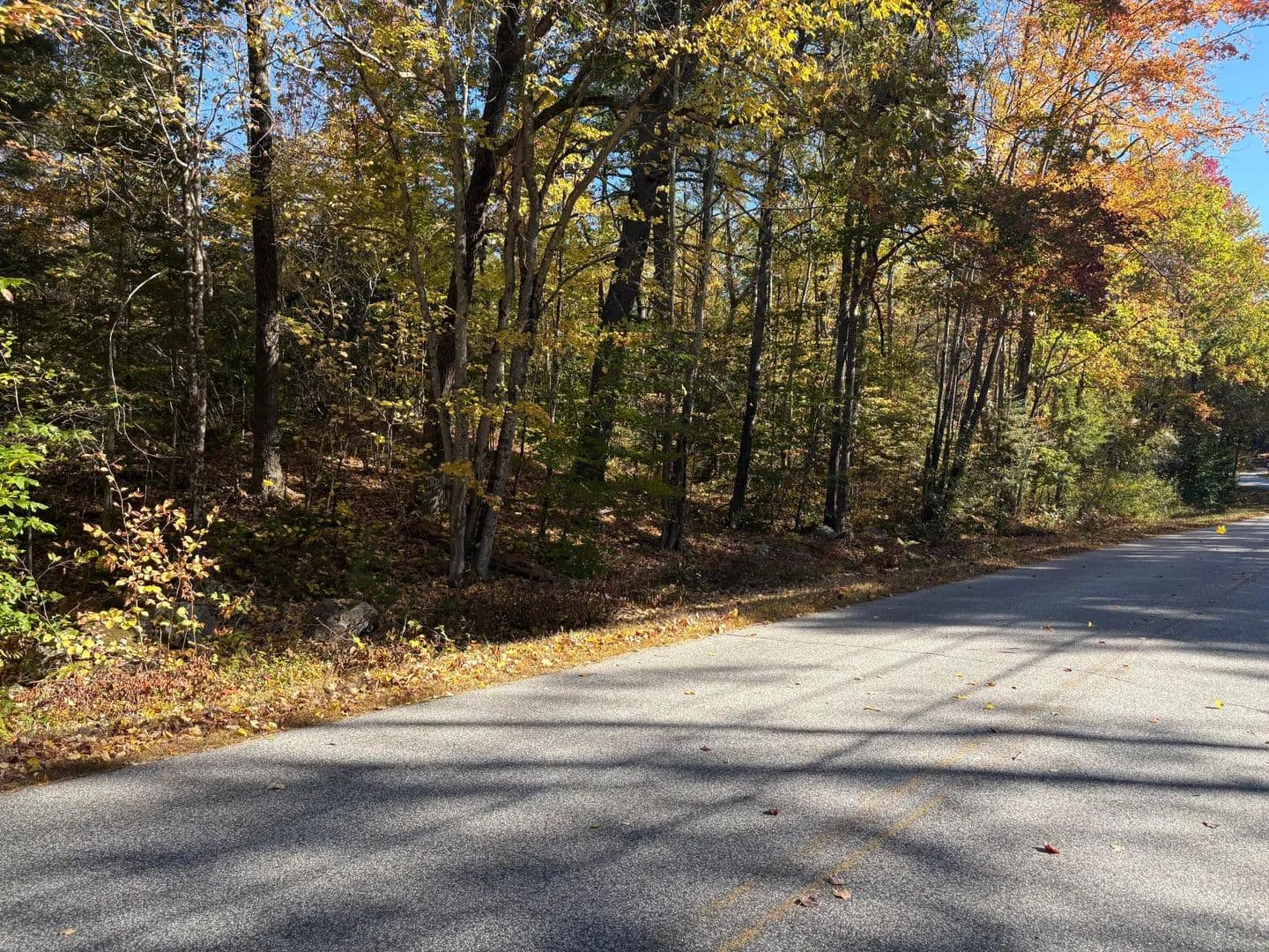 Vacant Land in Limerick - Limerick, Maine, 04048