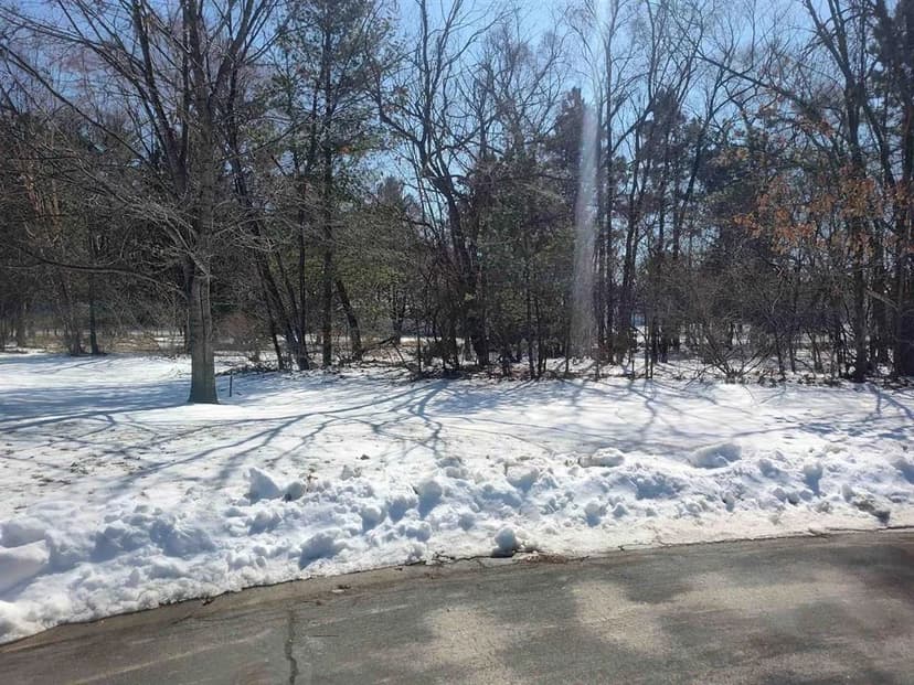Vacant Land (0-10 Acres) in Boscobel