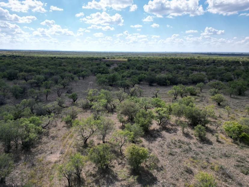 PRICE IMPROVEMENT!! 27 +/- Ac TBD CR 100, Callahan County