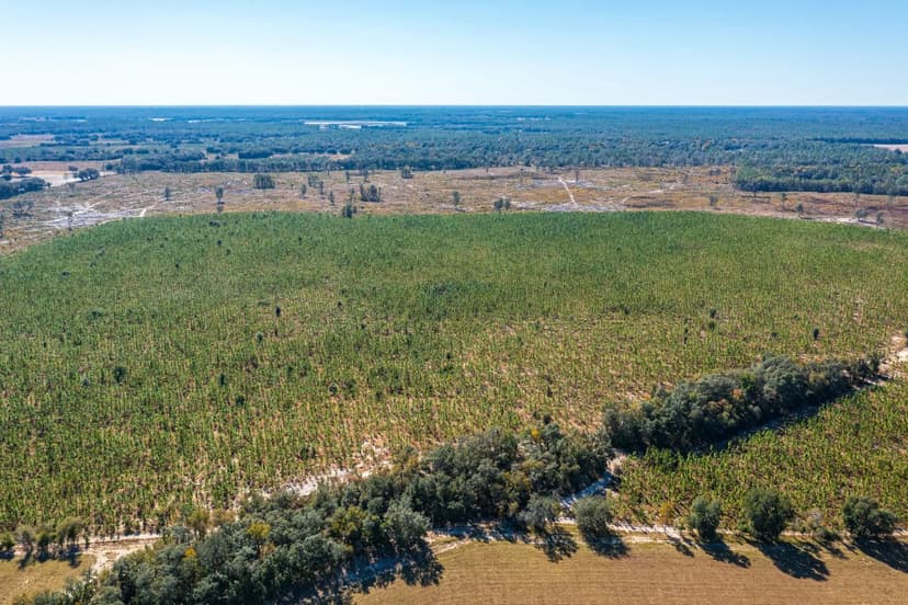 Dutton Place Recreation and Timber