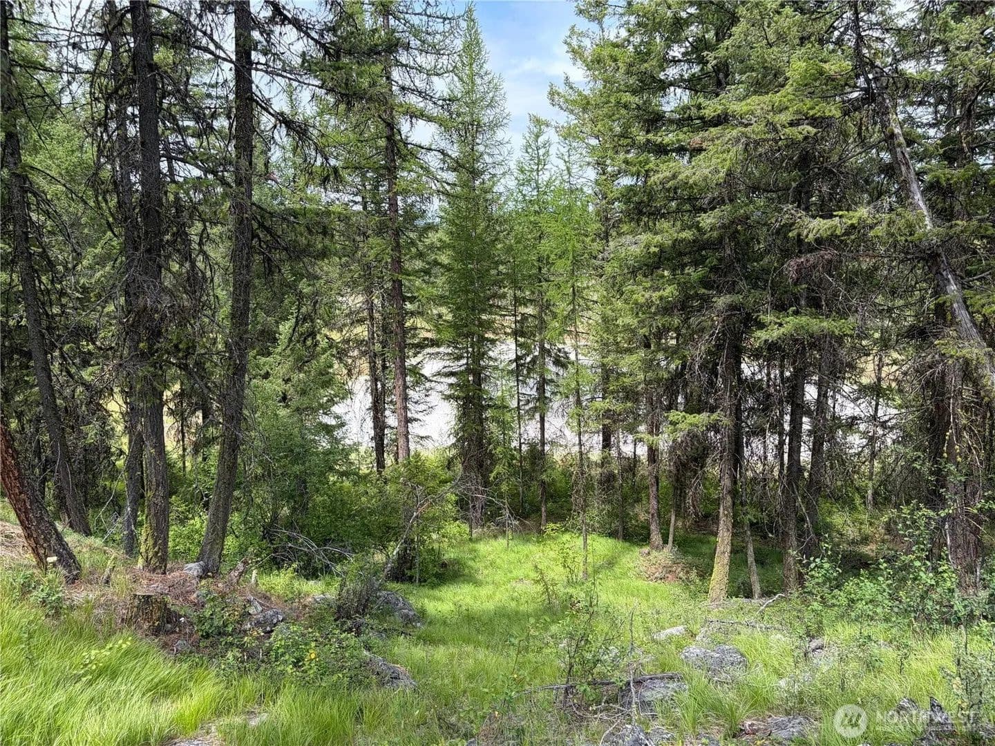 Lots & Land-Other in Oroville - Oroville, Washington, 98844