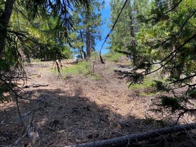 Vacant Land (0-10 Acres) in Portola - Portola, California, 96122