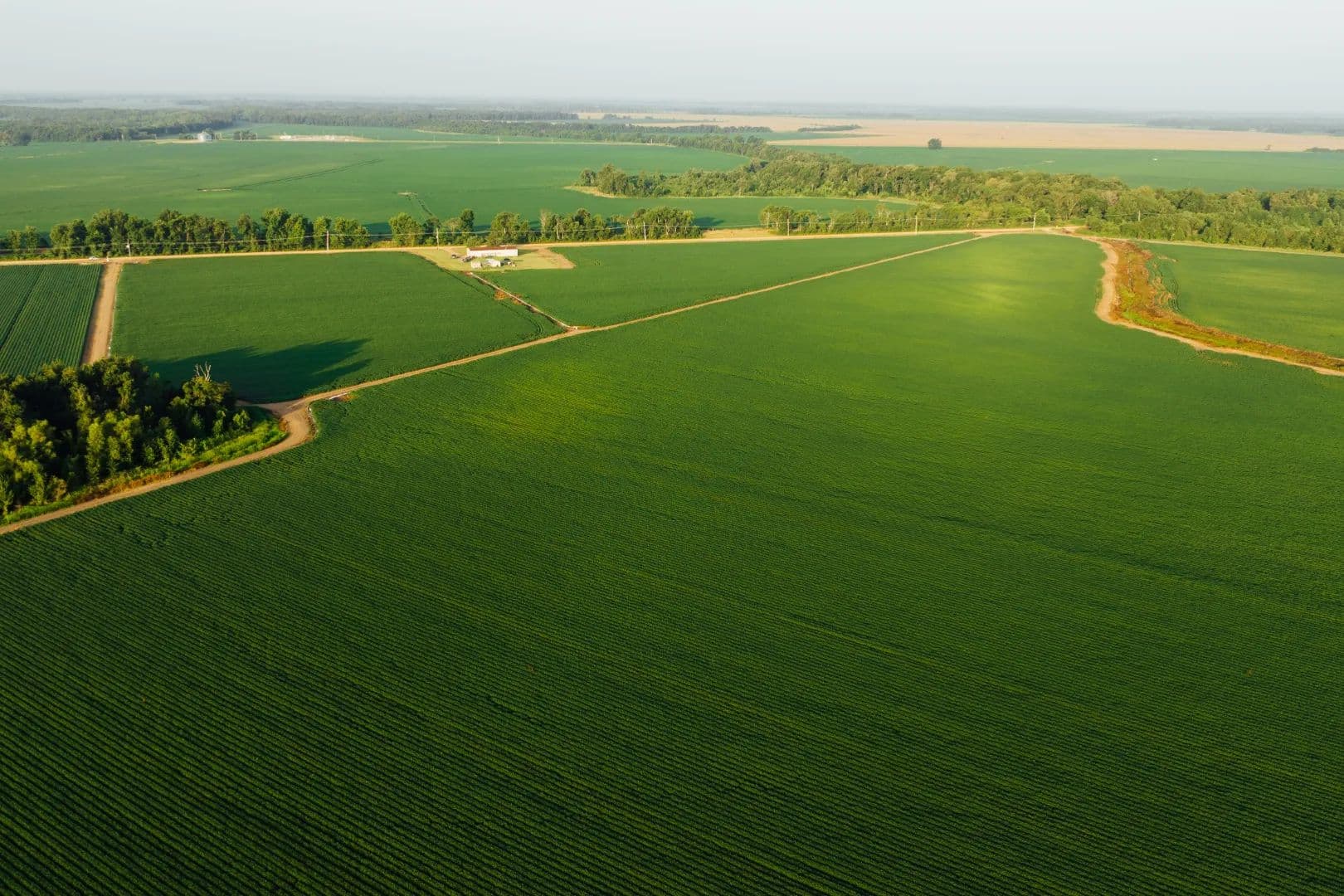 447.48 Acres in Tallahatchie County, MS  - Tutwiler, Mississippi, 38963