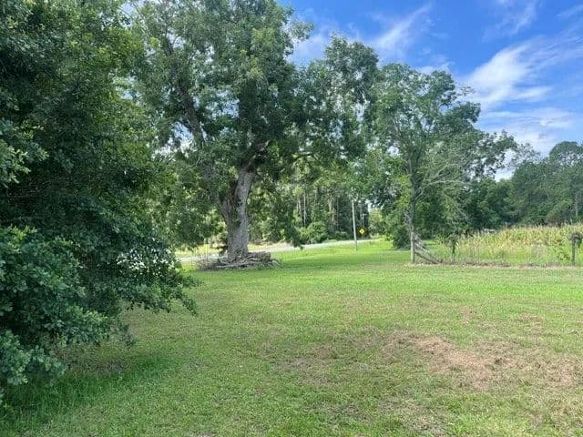 Land -Agricultural (Not Zoned) in Adel - Adel, Georgia, 31620