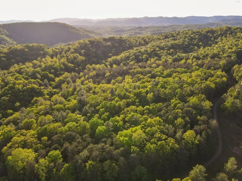 7.439 Acres | Ferrum, Virginia | Franklin County