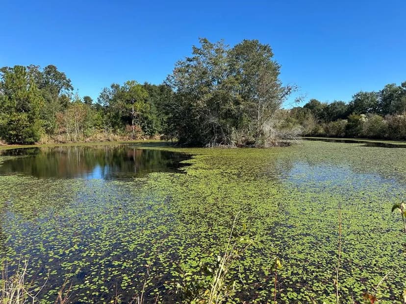 Lots & Land-Other in Sumner