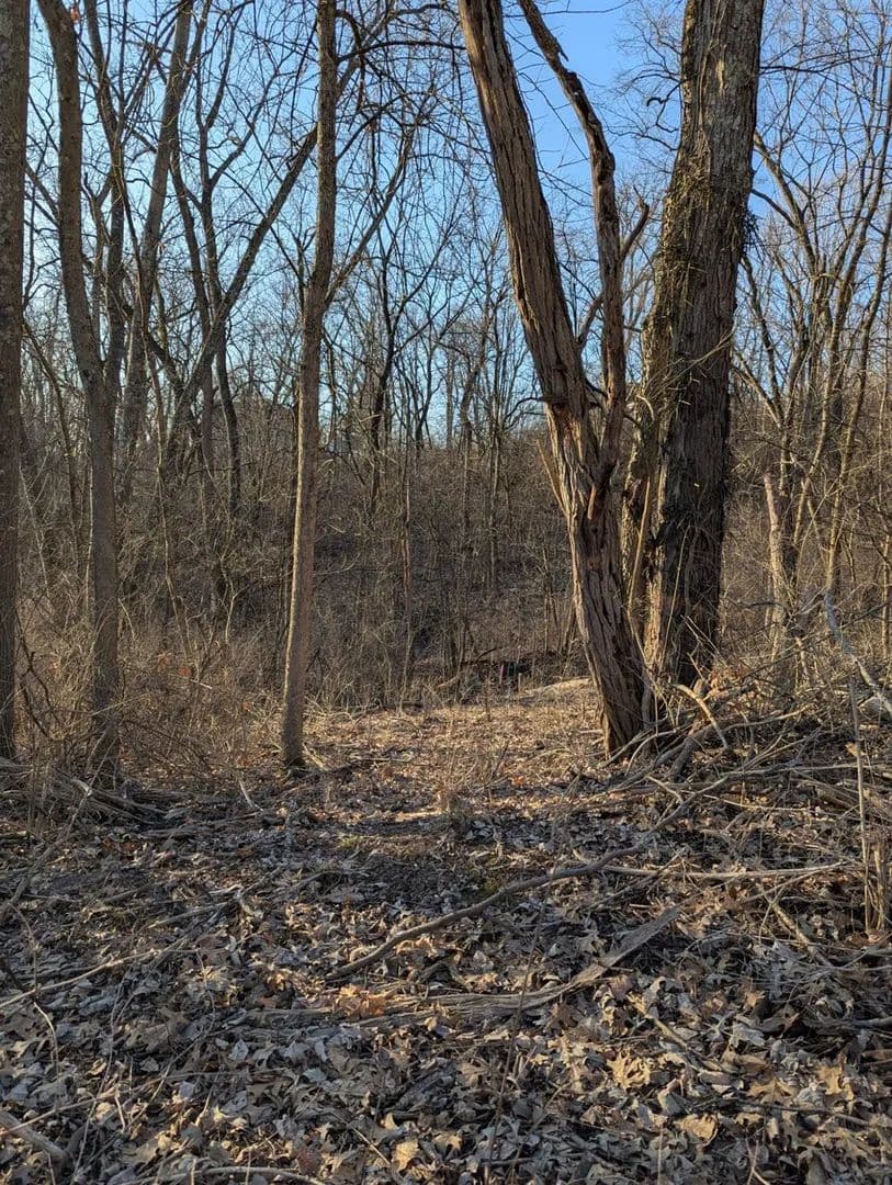 Vacant Land in Lawrenceburg - Lawrenceburg, Indiana, 47025